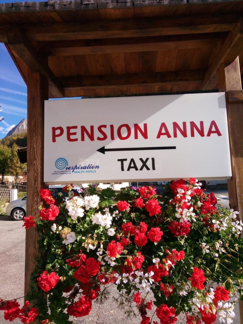 Pension & Appartament Anna Apartment Predoi Exterior foto